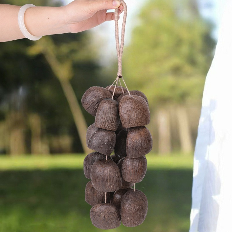 Musical Instrument Chimes - El yapımı El Çanları Doğal Meyve