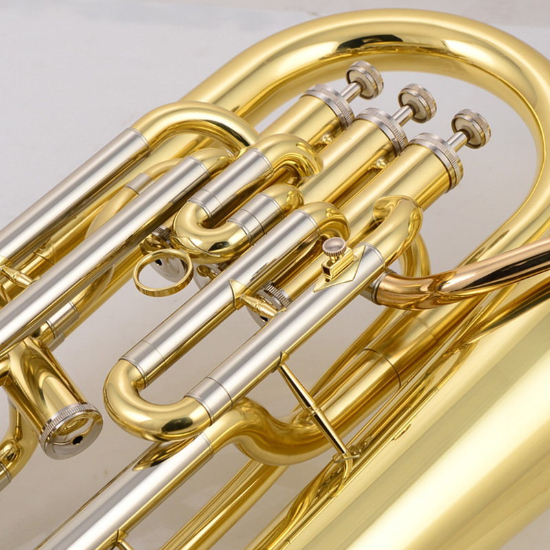 Bb Ton 3 Plus 1 Dik Düzenli Eu - Musical Instrument Euphonium incelemesi ve fiyatı